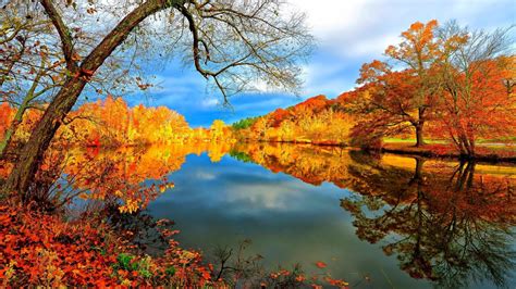 River Surrounded By Colorful Autumn Fall Leafed Trees Under White