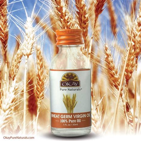 Wheat germ is a natural way to get these benefits, but some people also choose to go for a more cosmetic approach, using its extract directly or mixing it. Wheat Germ Virgin Oil 100% Pure for Hair & Skin-Nourishing ...