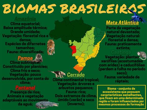 Mapa Mental Sobre Biomas Brasileiros Esquemas Biologia Docsity
