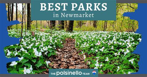 Top 5 Newmarket Parks Explore Fairy Lake Park And More