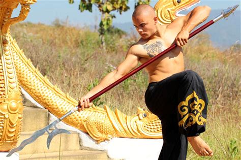 While martial arts that feature an entire arsenal of techniques are really tempting (there are 18 disciplines of. Nam Yang Mountain Retreat | Martial Arts Thailand