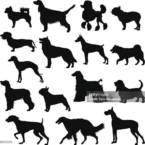 Many Dogs Silhouette High Res Vector Graphic Getty Images