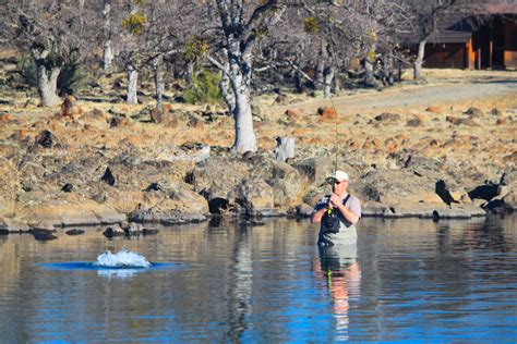 Private Fly Fishing At Eagle Canyon Near Red Bluff