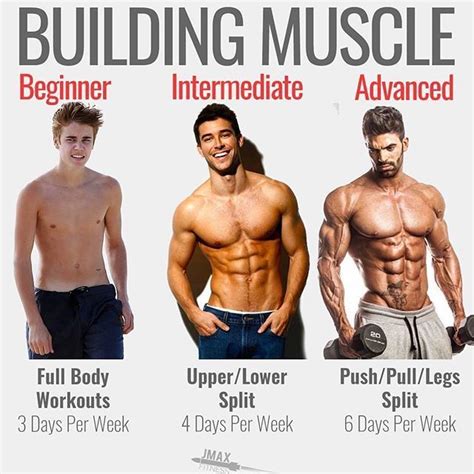 Building Muscle By Jmaxfitness Beginners Intermediates And Advanced