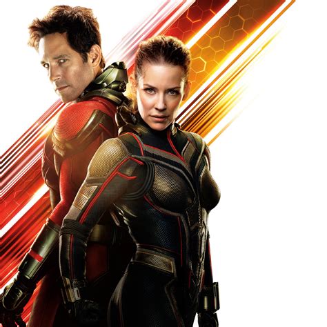 Ant Man And The Wasp 4k 8k Wallpapers Hd Wallpapers Id 24567