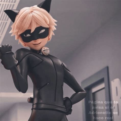 Aesthetic Cat Noir Pfp Personagens Ladybug Personagens Images And