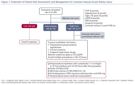 Preventing Contrast Induced Renal Failure A Guide Icr Journal