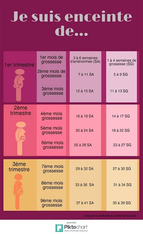 Semaine De Grossesse Pregnancy Info Pregnancy Photos Doula Baby