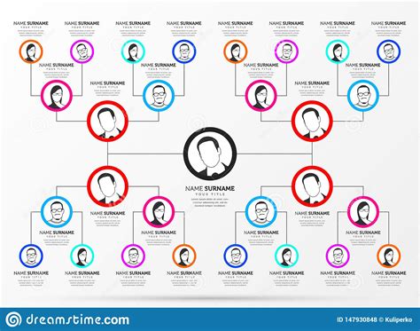 Infographic Design Template Creative Organization Chart Vector Stock