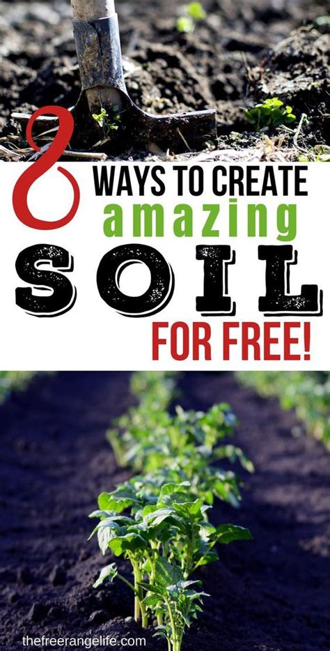 8 Simple Ways To Improve Your Garden Soil For Free