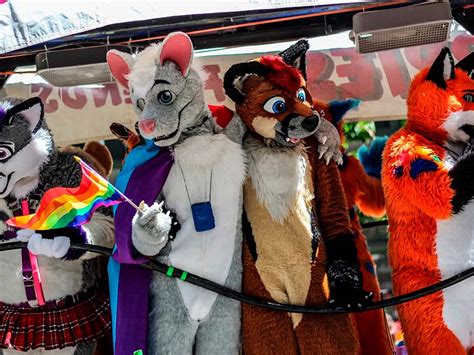Lets Talk About Furries Safer Schools