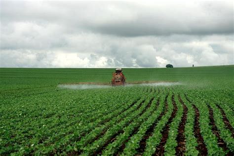 O Termo Conflito Significa Enfrentamento Falta De Entendimento
