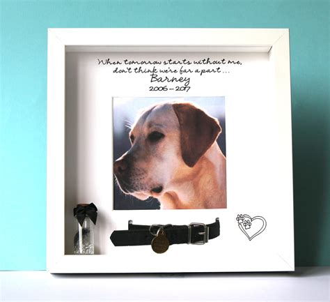 Personalised Pet Dog Collar Memorial Photo Frame With Keepsake Bottle