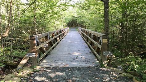 Limberlost Trail Shenandoahs Fully Accessible Hiking Trail