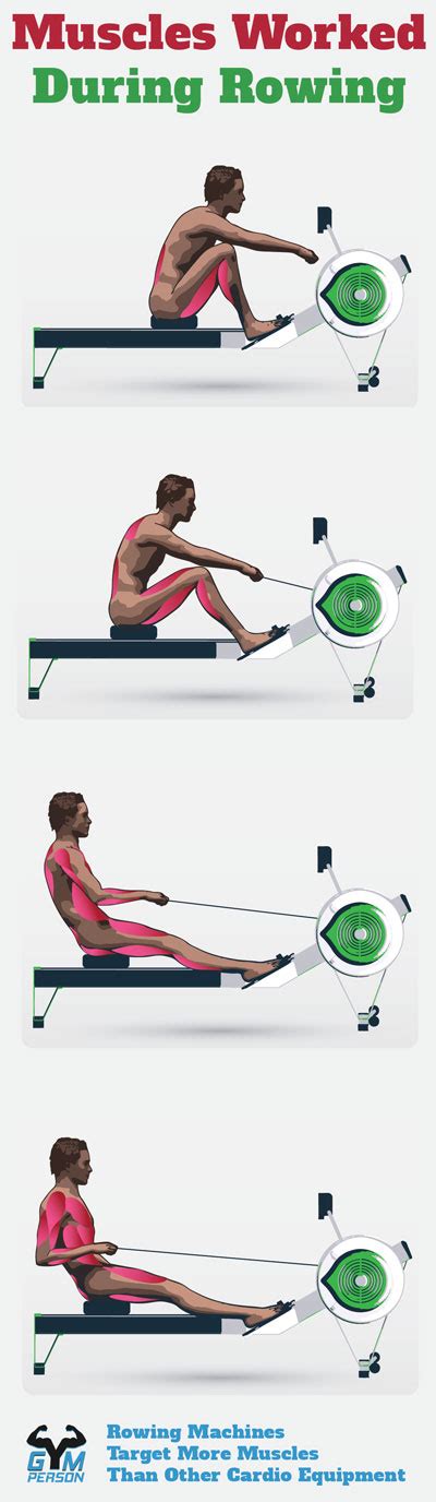 Best Rowing Machine For Home Top 10 Rowers For Every Budget