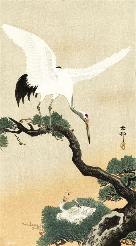 Japanese Crane Bird On Branch Of Pine 1900 1930 By Ohara Koson