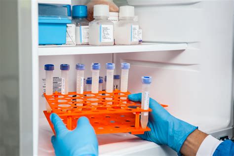 We did not find results for: Egg Freezing vs. Embryo Freezing | New York Reproductive ...