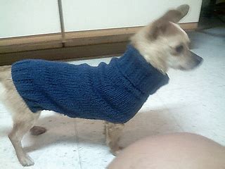 Eventus sistemi / can i change the setti. Chihuahuapullover Schnittmuster Nähen - Hundemantel Diy ...