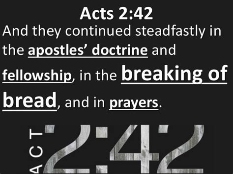 Acts 242 Believers