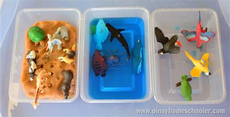 Introducing Toddlers To Animals In Land Water And Air