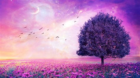 Images are for personal, non commercial use. Purple Aesthetic Home Screen PC Wallpapers - Wallpaper Cave