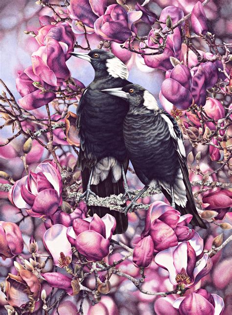 Magpies And Magnolias Heidi Willis Botanical And Wildlife Artist