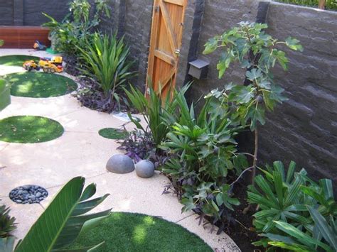 Click here for more information. 17 best medium sized trees images on Pinterest | Backyard ideas, Garden ideas and Landscaping ideas