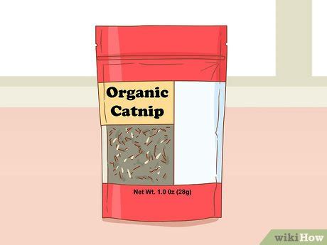 How early can you begin to administer catnip? 3 Ways to Give Catnip to Your Cat - wikiHow