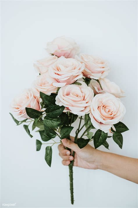 Hanging the flowers upside down means they should maintain their upright structure with the stems remaining rigid. Download premium photo of Hand holding a bouquet of light ...
