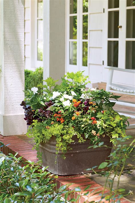 All of these indoor plants take up minimal space (but don't worry, there are some trees if you have just a bit more room to work with), and many even require less sun, which is a must when you only. 50 Best Small Space Decorating Tricks We Learned in 2016 ...