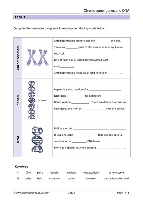 Learn vocabulary, terms and more with flashcards, games and other study tools. worksheet. Number Of Chromosomes Worksheet. Grass Fedjp ...