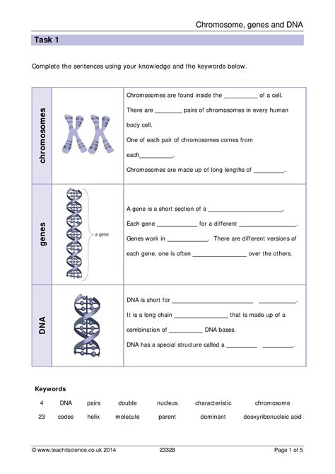 Each homologue encodes the same set of genes in the same order, but may contain different variant form of the same. 14.1 Human Chromosomes Pdf Answers / Chromosome Worksheet - Fill Out and Sign Printable PDF ...