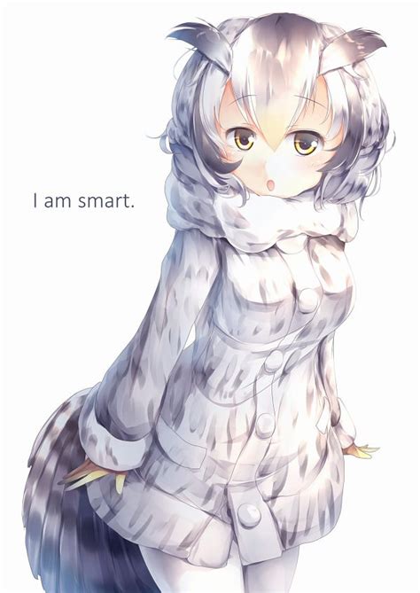 Norther White Faced Owl Kemono Friends Image By 柑咲 Etc 3602002