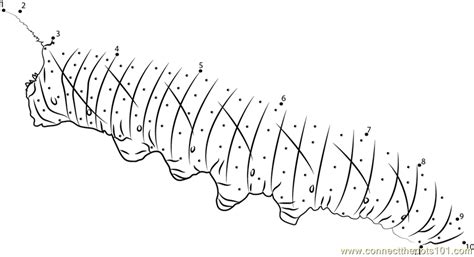 Our printable sheets for coloring in are ideal to brighten your family's day. Lime Hawk Moth Caterpillar 2 dot to dot printable ...
