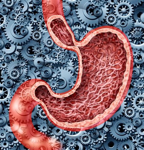 Sabotage Of Poor Digestion And How To Fix It Digestion Problems Poor