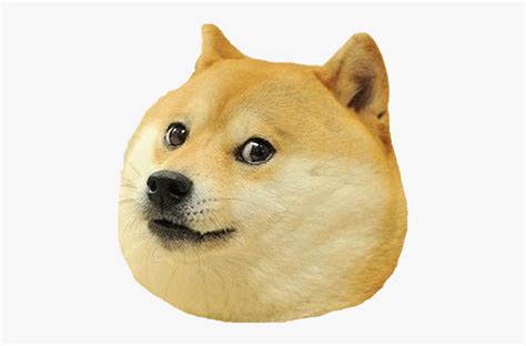 180 transparent png of doge. Dog Head Png - Dog Meme Face Png , Free Transparent ...