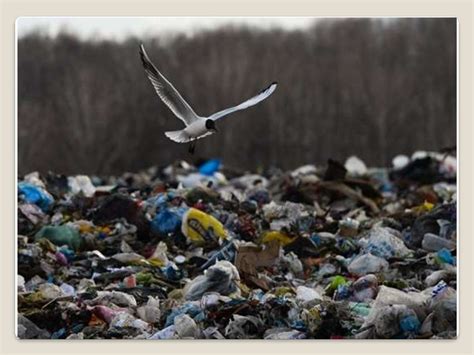 Экологические проблемы Донбасса переработка мусора презентация онлайн