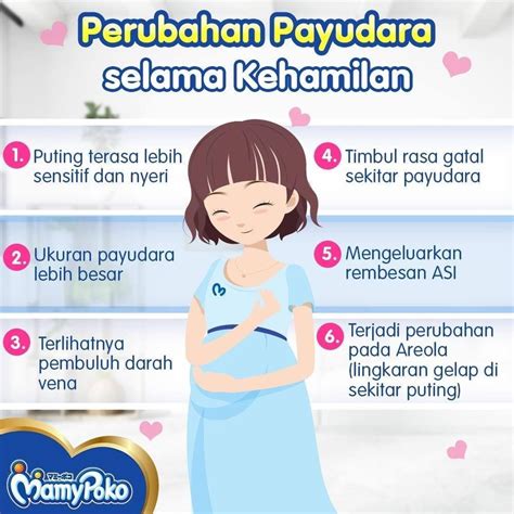 Perubahan Payudara Selama Kehamilan Mamypoko Indonesia