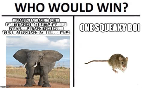 Who Would Win Meme Imgflip