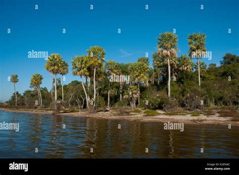 Corrientes Province Argentina Hi Res Stock Photography And Images Alamy