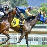 Wikimedia commons has media related to sports betting. Understanding the Different Terms Used in Sports Betting