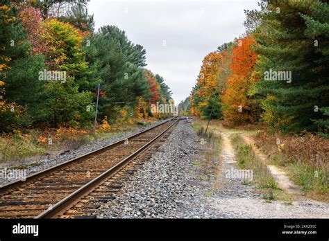 Railroad Through A Forest On A Cloudy Fall Day A Switch Is Visible In