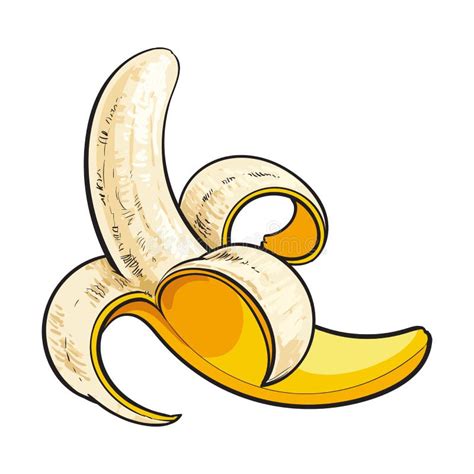 One Open Peeled Ripe Banana Sketch Style Vector Illustration Stock