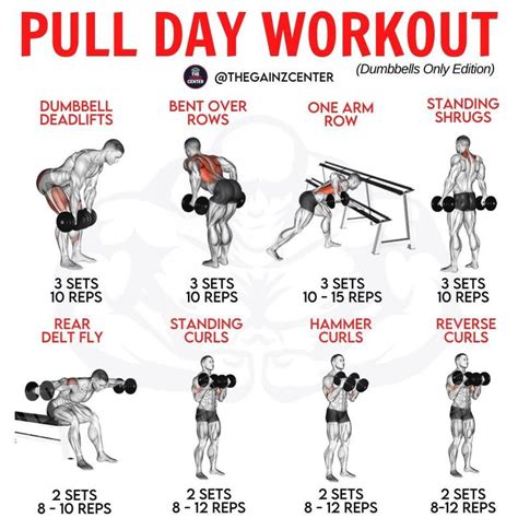 Pull Day Workout Pull Day Workout Gym Workouts For Men Dumbell Workout