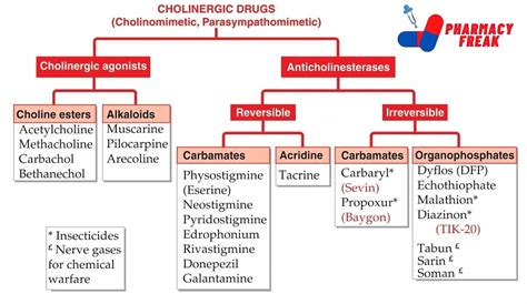 Classification Of Cholinergic Drugs Pharmacy Freak