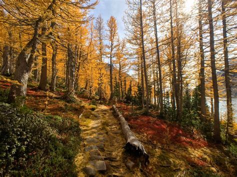 The Best Leaf Peeping Adventures For Fall Foliage Outdoor Project