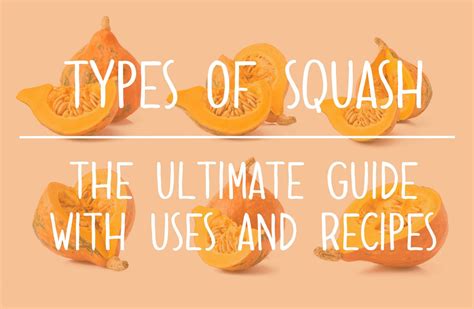 Types Of Squash Squash Varieties Guide With Uses And Recipes