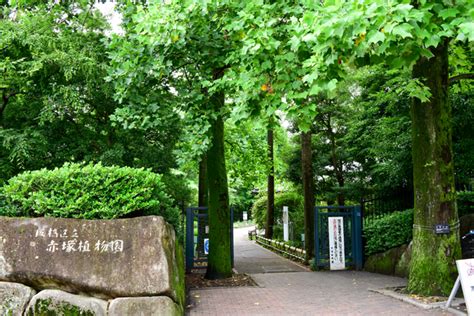 板橋区立赤塚植物園 - JapaneseClass.jp