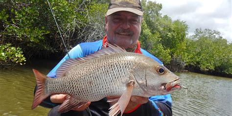 Townsville Mangrove Jack Dave Hodge Australian Lure Fishing