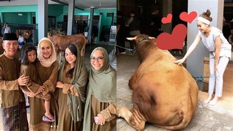 Jul 01, 2021 · goyangan ayu ting ting picu komentar nella kharisma hingga rossa, efek putri rozak pamer joget mafia goyangan ayu ting ting memicu komentar nella kharisma, rossa, tiara andini sampai hesti purwadinata. Bernama Ganteng, Sapi Kurban Ayu Ting Ting Diharap Sama Gantengnya Dengan Calon Suaminya Kelak ...